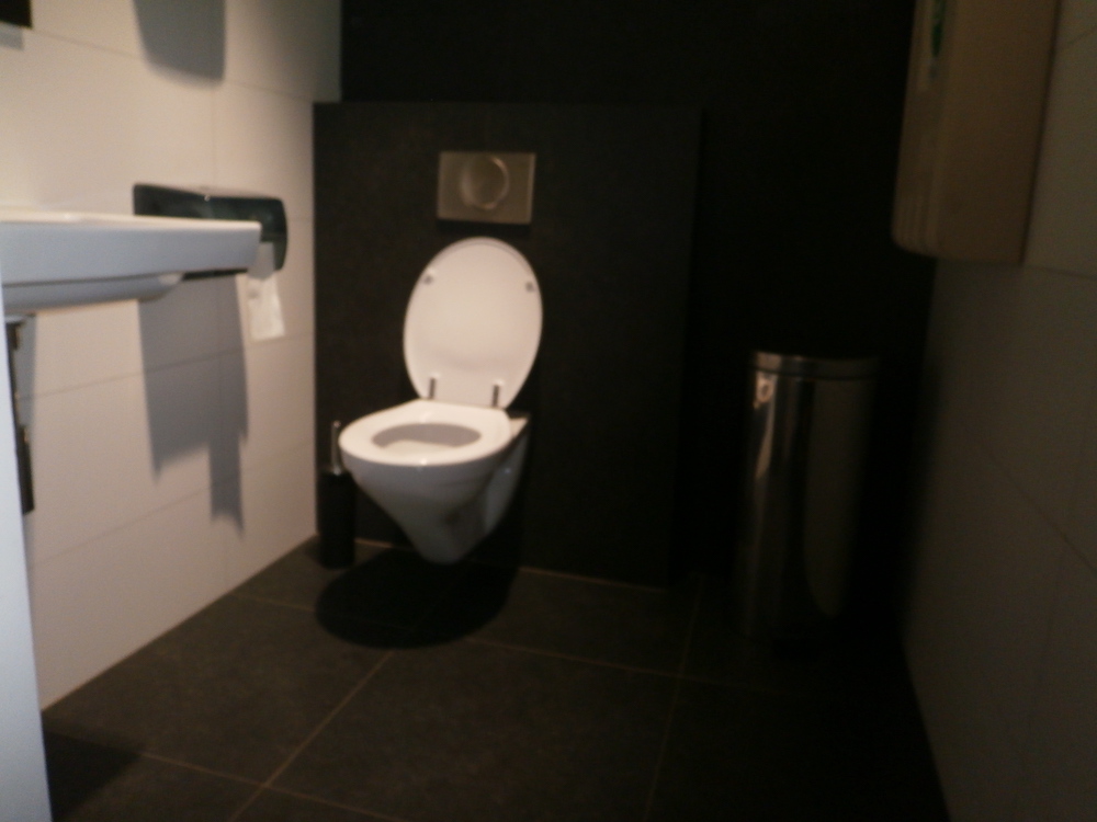Rolstoeltoilet, frustratie